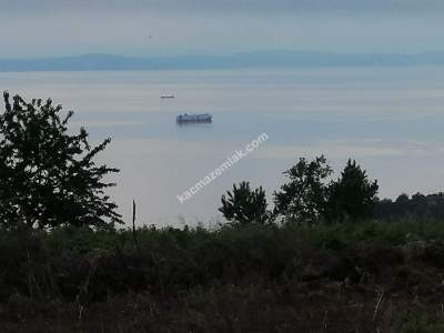 Tekirdağ Şarköy Kirazlı Mahallesi Satılık Müstakil Ev 17