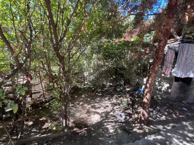 Niksar Kırkkızlar Mah Satılık Müstakil Bahçeli Ev 12