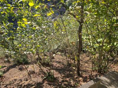 Zonguldak Karaelmas Mah.de Satılık Müstakil Ev 16