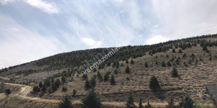 Ankara Bağlıca'Da 8+1 Satılık Villa