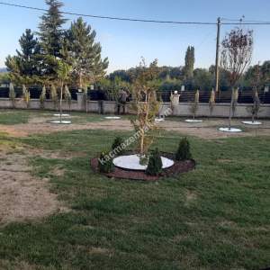 Kahramankazan İymir'de İmarlı, Havuzlu Satılık Villa 28