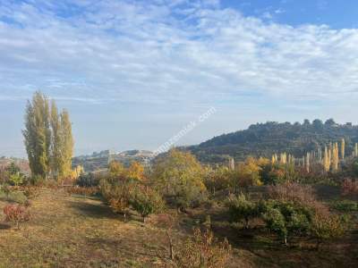 3866M2 İçinde 2 Katlı Müstakil Villa 2