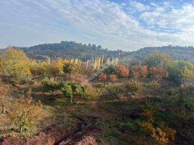 3866M2 İçinde 2 Katlı Müstakil Villa