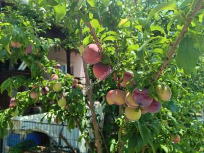Tekirdağ Şarköy Güventur Sitesi Satılık Villa 33
