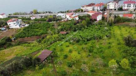 Trabzon Akçaabat Salacıkta Satılık Villa+Arsa 5