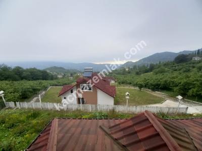 Trabzon Dolaylı Mahallesinde Satılık Villa 22