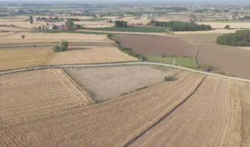 Tarla Parsellenip Hisseli Satılabilir mi?